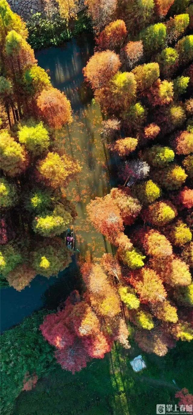 昆明冬日顶流回归！约起！