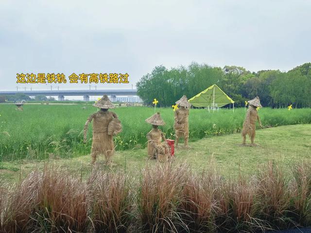 昆山兵希惊现考古重地,想起10年前无人问津的草鞋山