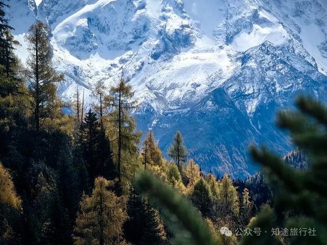避开人潮，经典川西秋色10天行，人生必须要有的一场旅行！