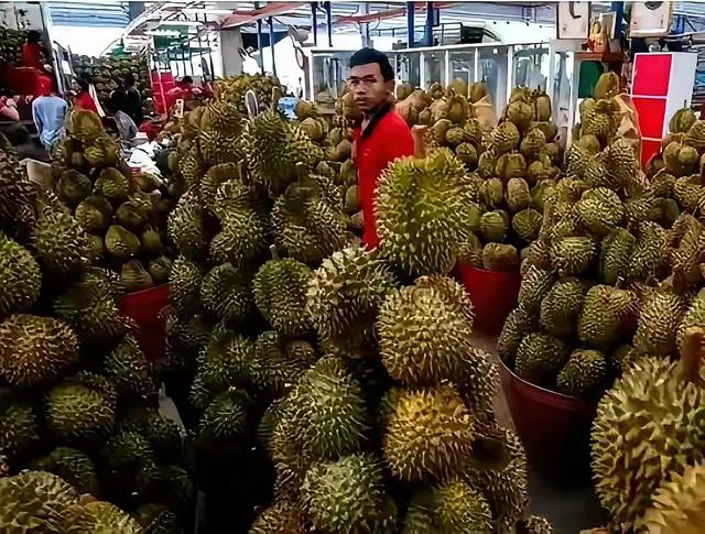 失去中国市场后，大量水果烂在地里卖不出去，才后悔“得罪”中国