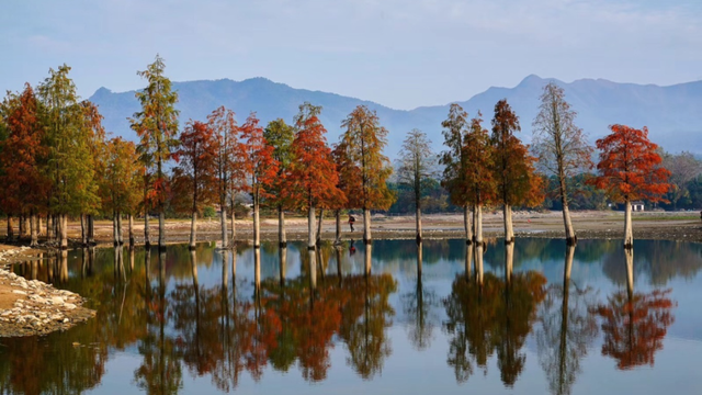 小红书火爆的黟县秋兴八景图上线！| 皖美冬日 | 第十五届安徽国际文化旅游节