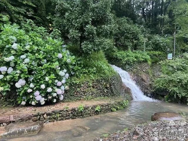 4A级免费景区徒步+避世绝美古村探幽，温州一日游的绝佳选择！