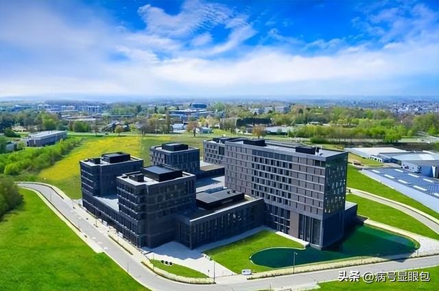 荷兰官员：安世产权不能都归中国，强抢是必要之恶，也是唯一选项