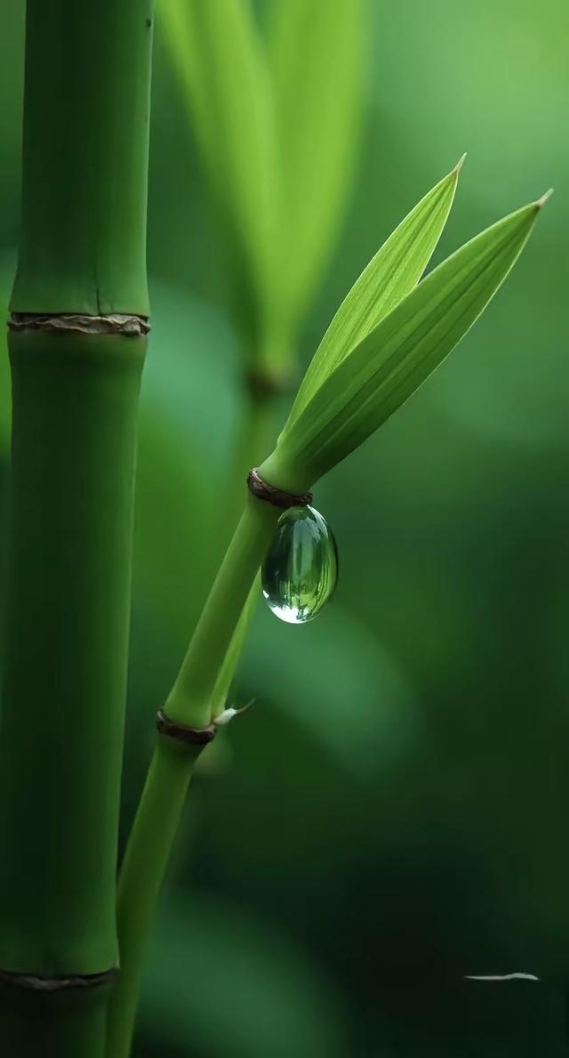 缁胯壊鎶ょ溂澹佺焊缇庡浘
