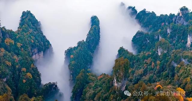 谁来管管光雾山啊！美得人挪不开眼🤩