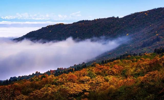 峨眉山这种级别的秋景，我愿称之为饱和度战神