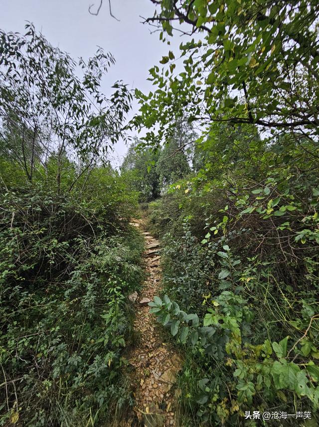 大山的世界，只有美不胜收的风景，只有崎岖不平的山路，一起打卡