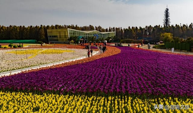 新新新新新新！滇池旅游黄金岸线的“含新量”在哪？快戳→