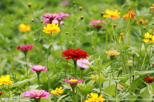 爆款标题：人这一生	，最大的憾事莫过于相遇越无法相拥。