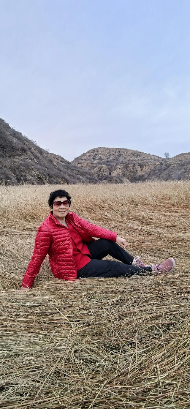 宣化瓦窑头水库芦苇成片，水天一色值得观看