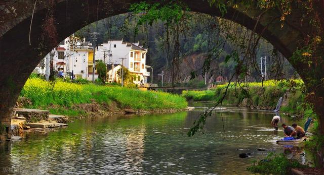 强烈建议！3 月一定要去一次婺源！不愧是中国必看花海之一！