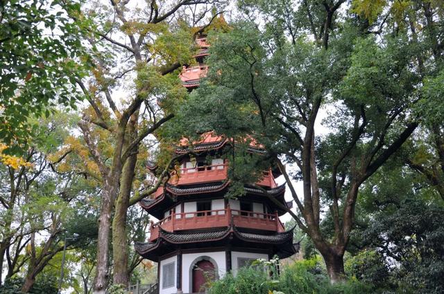 高铁1.5h！这座人少好玩无敌好吃的浙江名城，也免门票啦