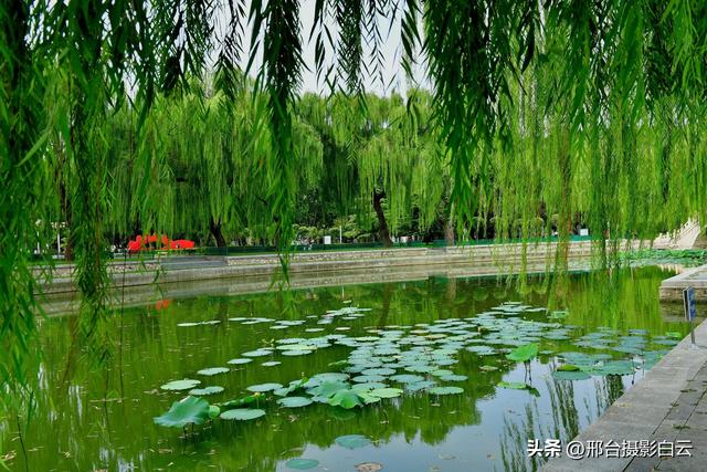 立秋之约：达活泉公园的诗意画卷（图）