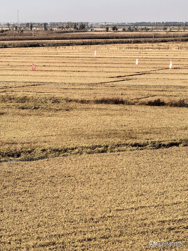 2025辽宁赏秋之旅日记(5)——从本溪前往盘锦 游览红海滩景观