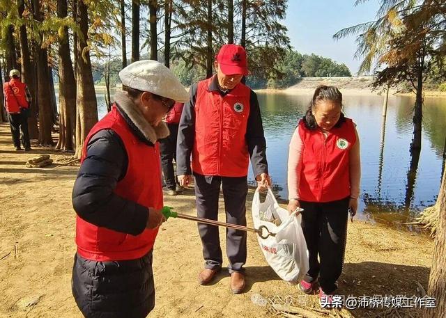 最美水杉林里志愿红