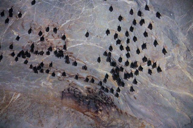 泰国清迈小众景点，清道岩洞，泰北最“野”的溶洞秘境