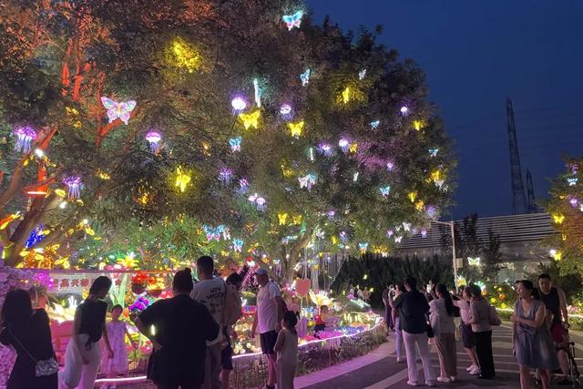 避开人潮！十一来世界花卉大观园，沉浸式解锁“N”种游玩方式