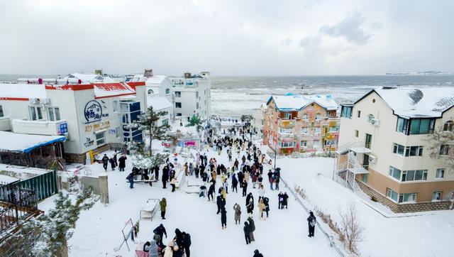 白茫茫一片！“雪窝子”威海下起倾盆大雪