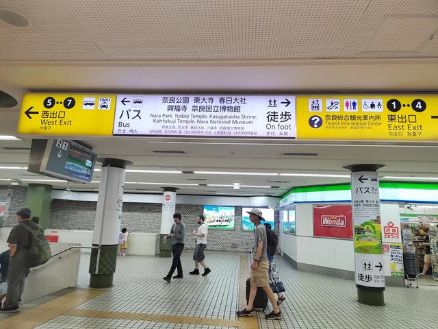 因为鹿，我爱上了奈良