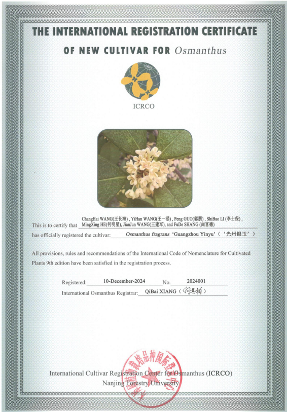 这一次，不得不去潢川了！