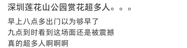 挤爆了！今天莲花山都是人人人，网友：感觉全深圳都来了！