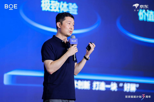 京东方CTO刘志强： “双京赋能 ” 三周年，开启显示产业共生时代
