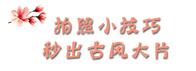 大寒至，春可期，昆明这些地方繁花似锦！