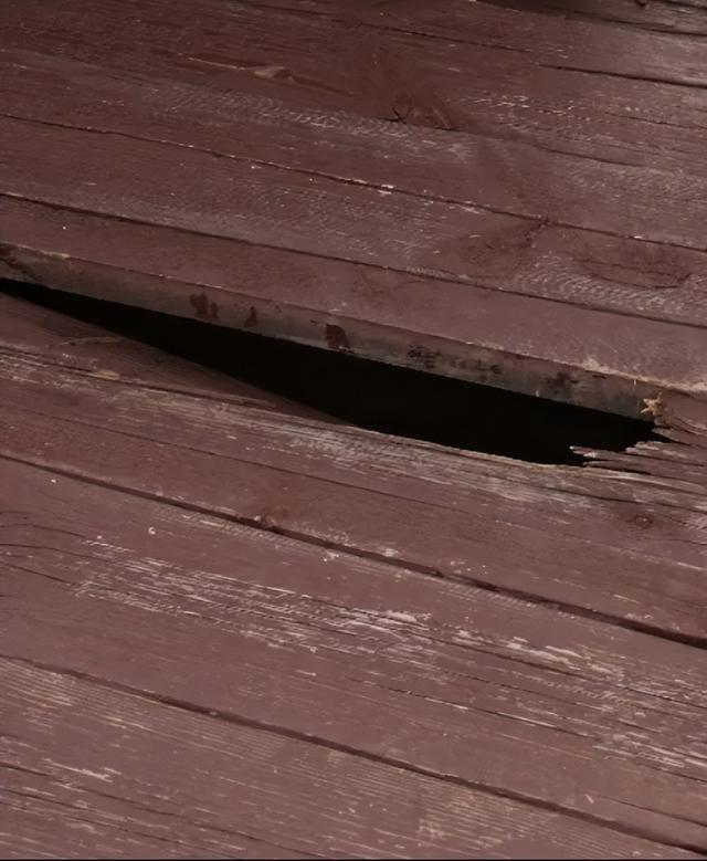 九九重阳·超越自我·共攀新高——佳县人民检察院开展重阳登山活动