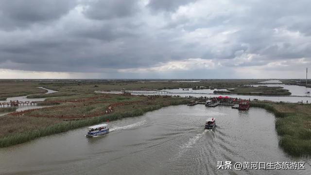 【情满双节游东营】​黄河口生态旅游区 国庆精彩瞬间 美好永不散场