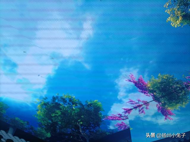 躺下来看风景的体验，你有过没有？