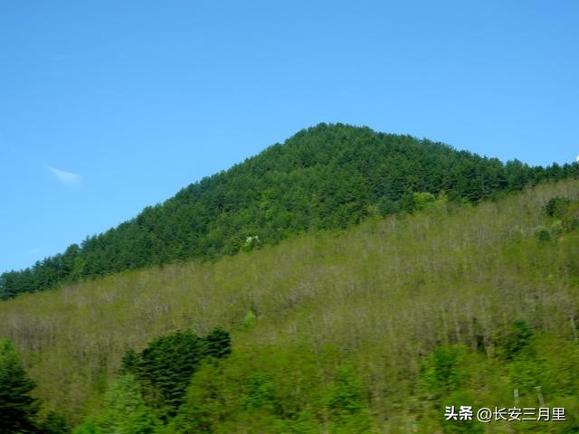 从宝鸡到汉中，“假装”走了一趟陈仓古道