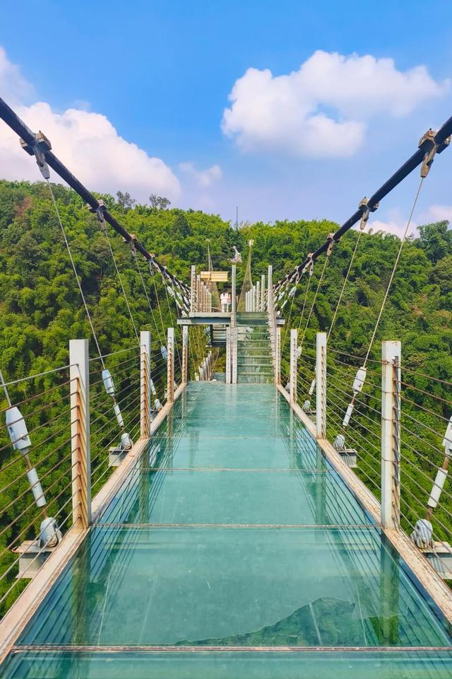 在竹尖上飞行！全网最全尖叫玩法攻略！