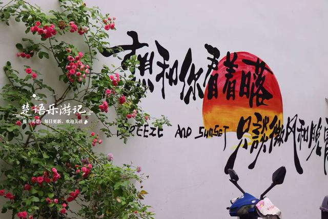 浙江宁波这个古村也成了观荷地，村中荷塘古朴而文艺，游玩很惬意