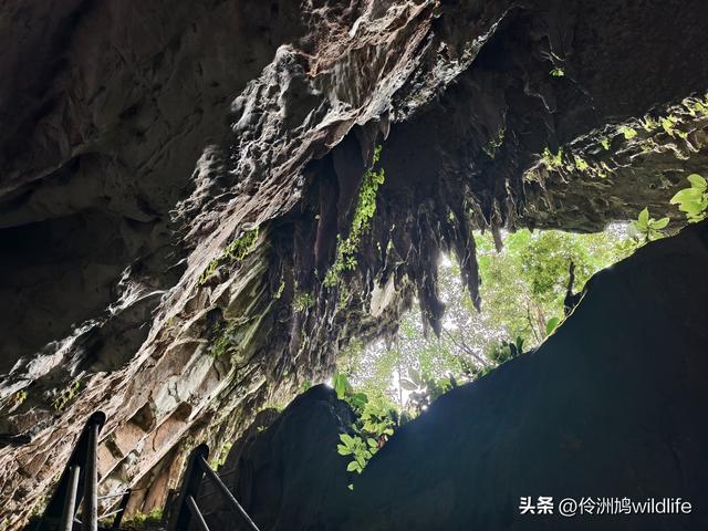 马来西亚(29)砂拉越州③姆鲁山清水洞·风洞