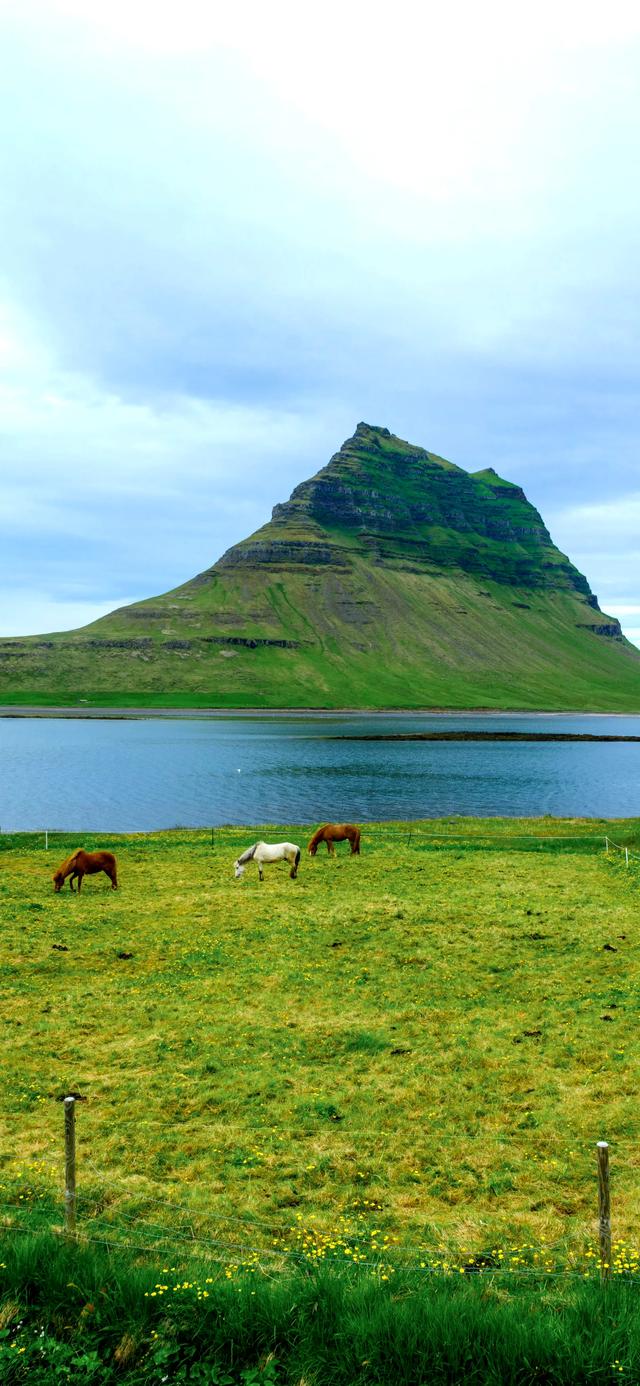 手机壁纸|风景