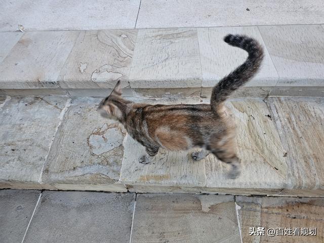 巴厘岛明星婚礼地探秘