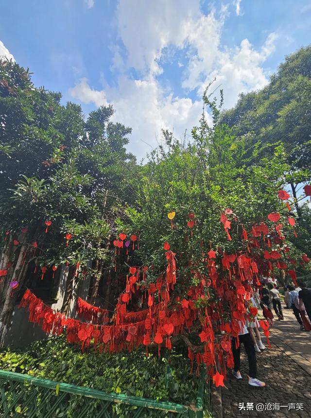 喜气洋洋的平江路，得意洋洋的平江路