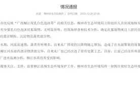 柳州官方通报“广西柳江现乳白色泡沫带”：系自来水厂制水产生的悬浮颗粒，水质没有受到影响图片