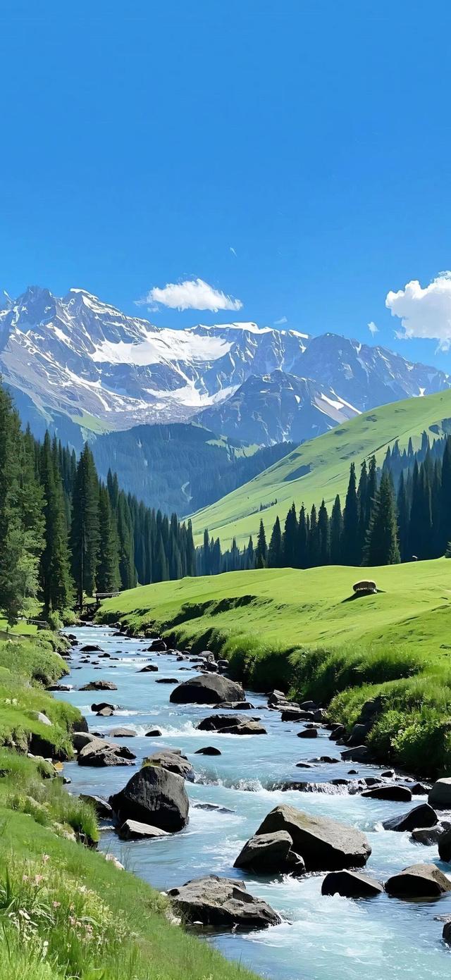 手机壁纸|清新自然，绿色风光美景