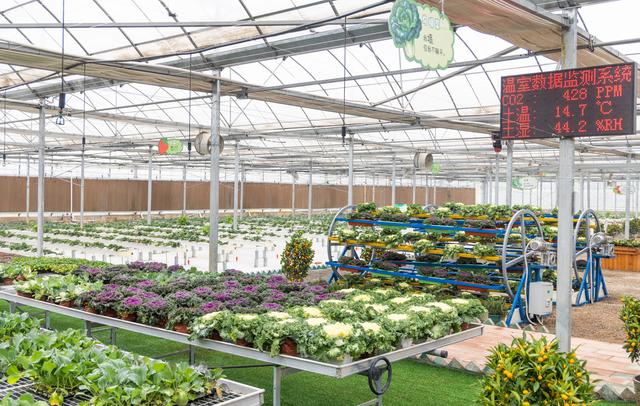 艺术民宿、生态旅游、现代农业融合共生，武汉兰岛都市田园综合体开园