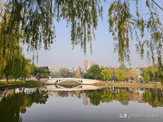 四川行(75)广汉②金雁湖公园·黑塔街·龙居寺