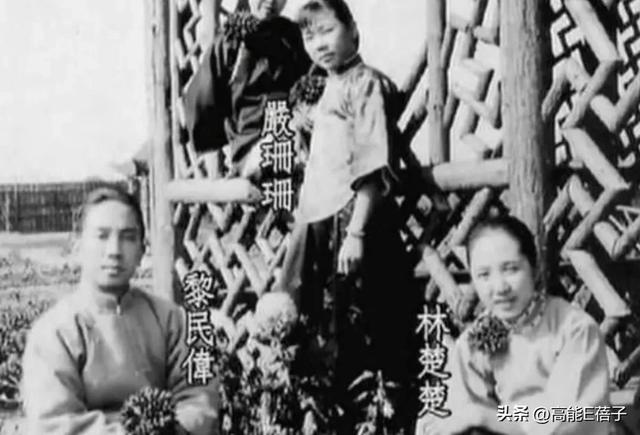 黎姿的珠光宝气，黎宣的绿叶人生：传奇电影世家的香江旧梦（上）