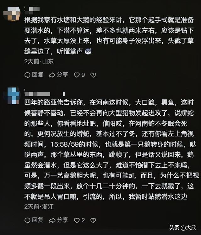 大鹅神秘消失后续：水塘抽干，淤泥被翻，网友质疑主人是炒作