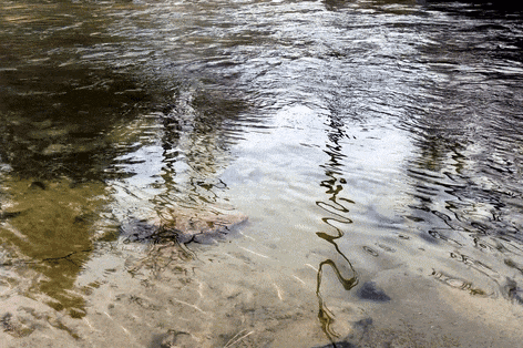 山泉水乘火车走四方