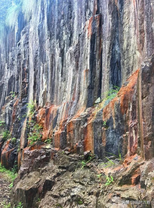 温州这处山水秘境、天然氧吧，人迹稀少风景绝美，秘藏了隐世古村