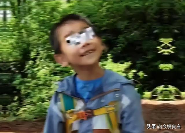 失踪自闭儿遗体已找到，救援队曝光死因，生前饱受痛苦，官方通报