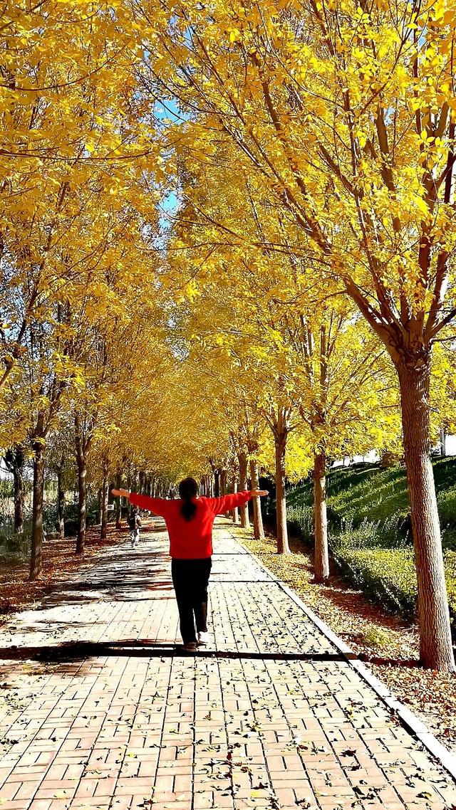 人情往来，有来有往，情意绵长