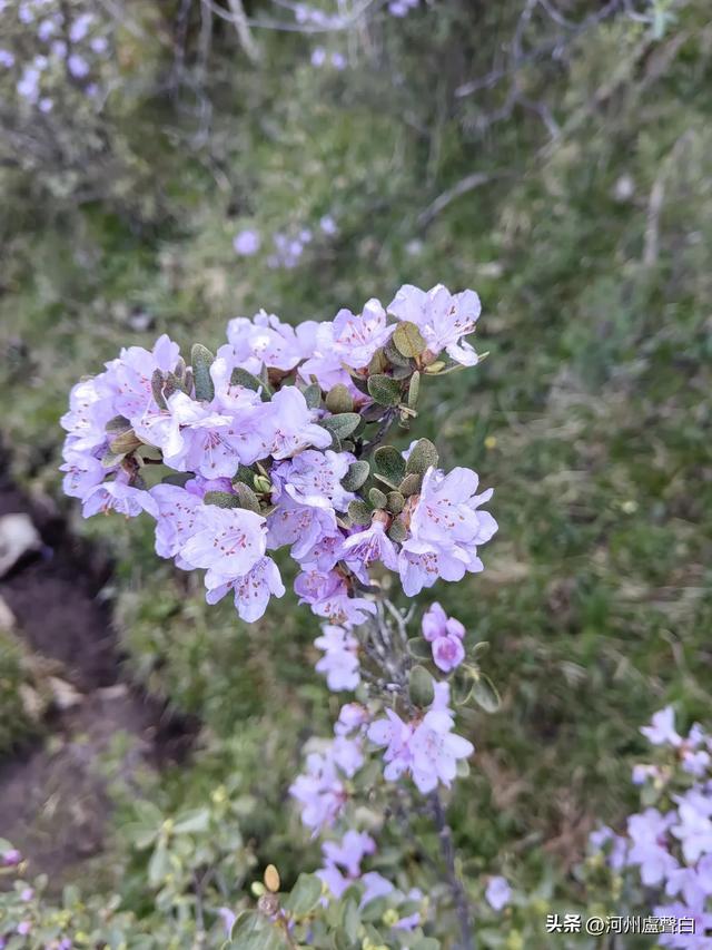 成功登顶母太子山