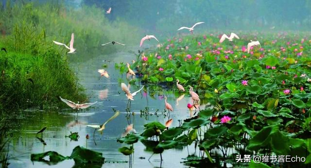 山东大喜讯！济宁迎来发展新机遇，住在这儿的人太幸福了！