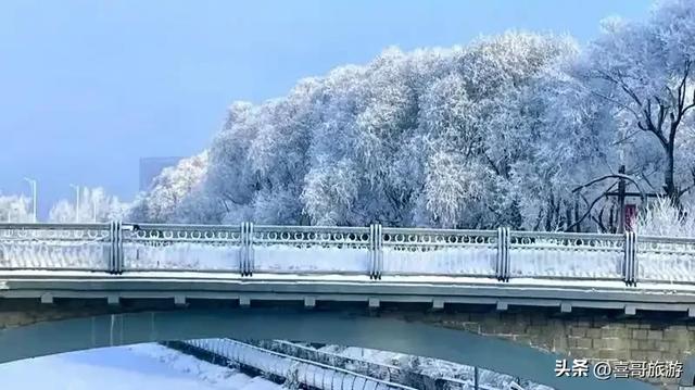 冰雪奇缘：哈尔滨雾凇仙境漫游指南